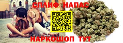 каннабис Кингисепп