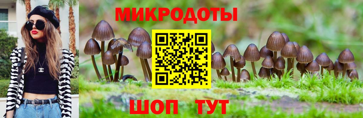 Псилоцибиновые грибы Magic Shrooms Янаул