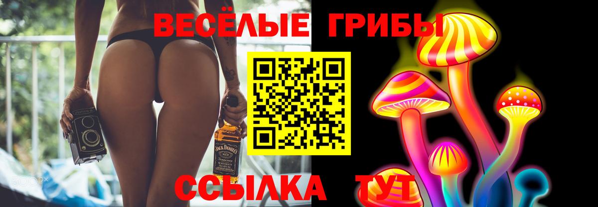 Галлюциногенные грибы Magic Shrooms  Вход с VPN  Янаул  Псилоцибиновые грибы мухоморы 